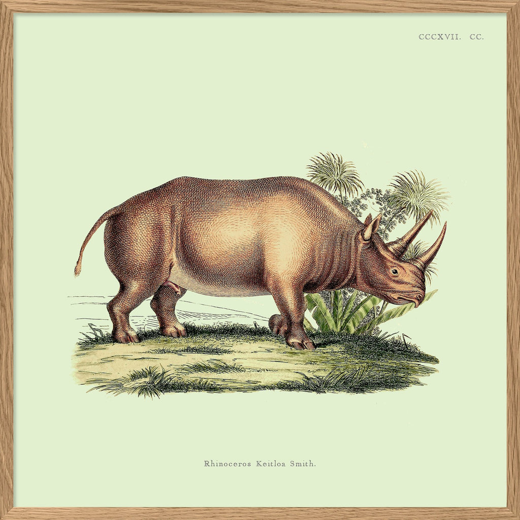 Cadre Rhino 30x30cm - The Dybdahl Co. - Coeur Grenadine