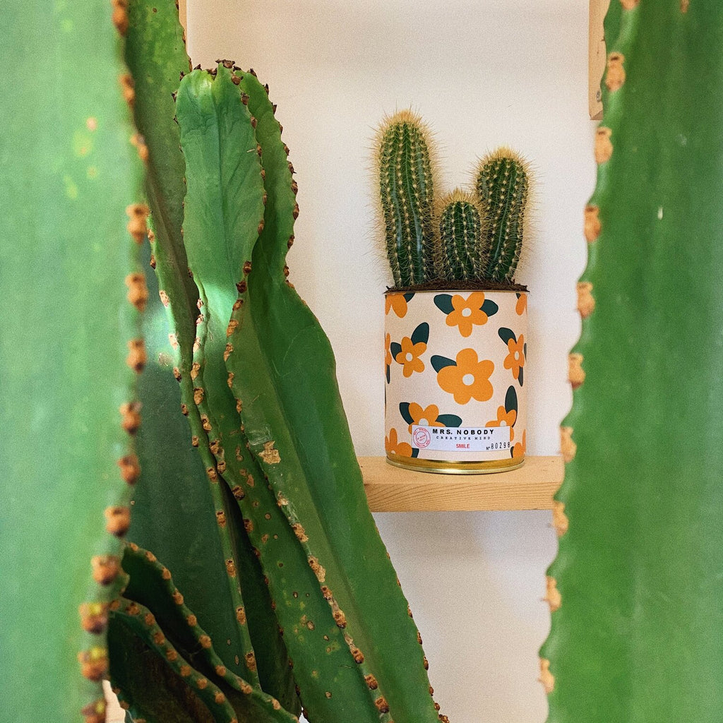Cactus Smile