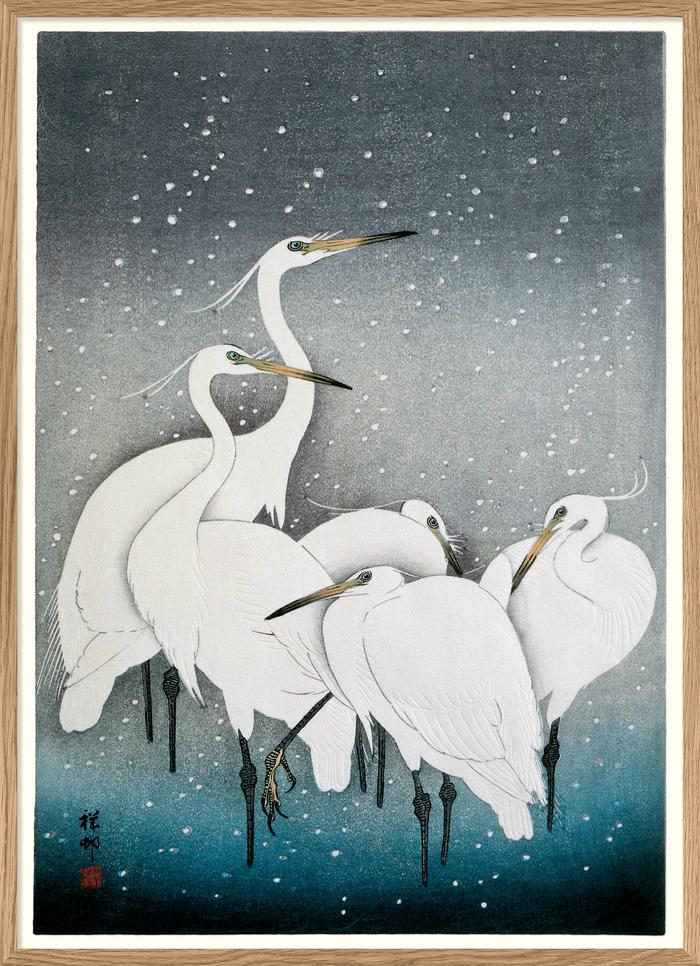 Snowy Herons Poster