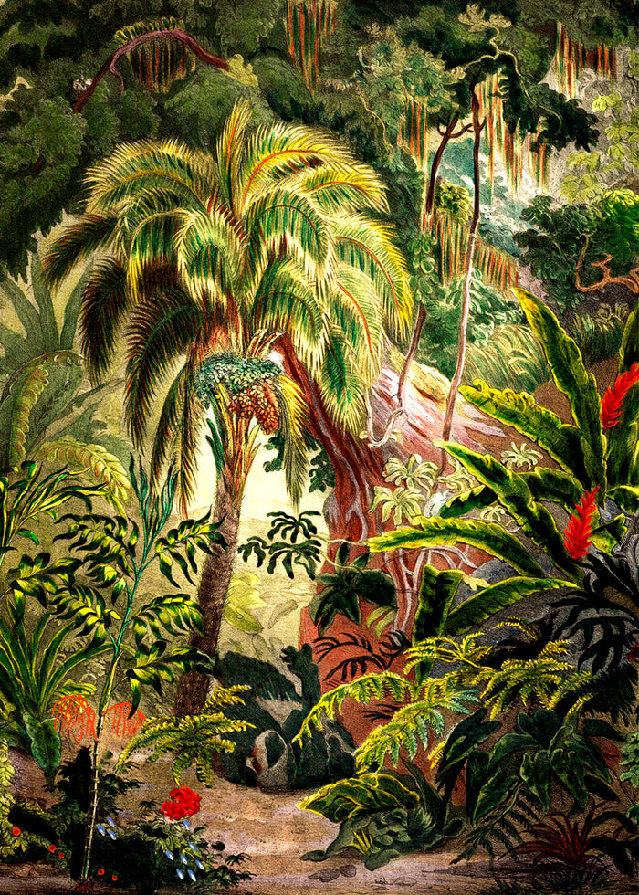 Affiche Jungle 30x40