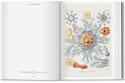 Ernst Haeckel 40th Anniversary Edition