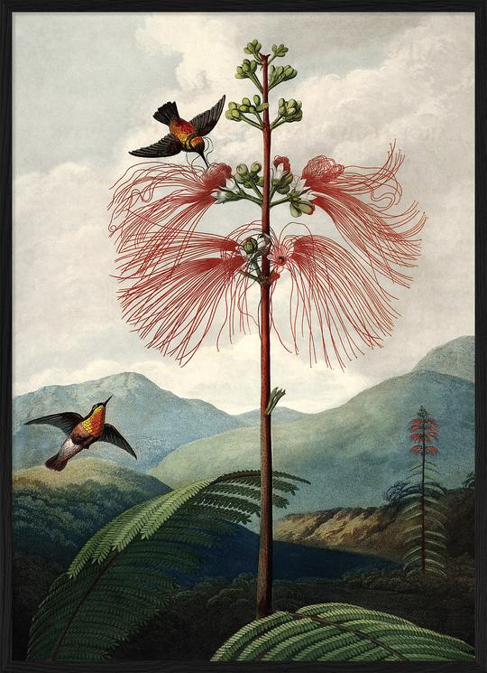 Affiche The Tree of Flowers 30x40 - The Dybdahl Co. - Coeur Grenadine