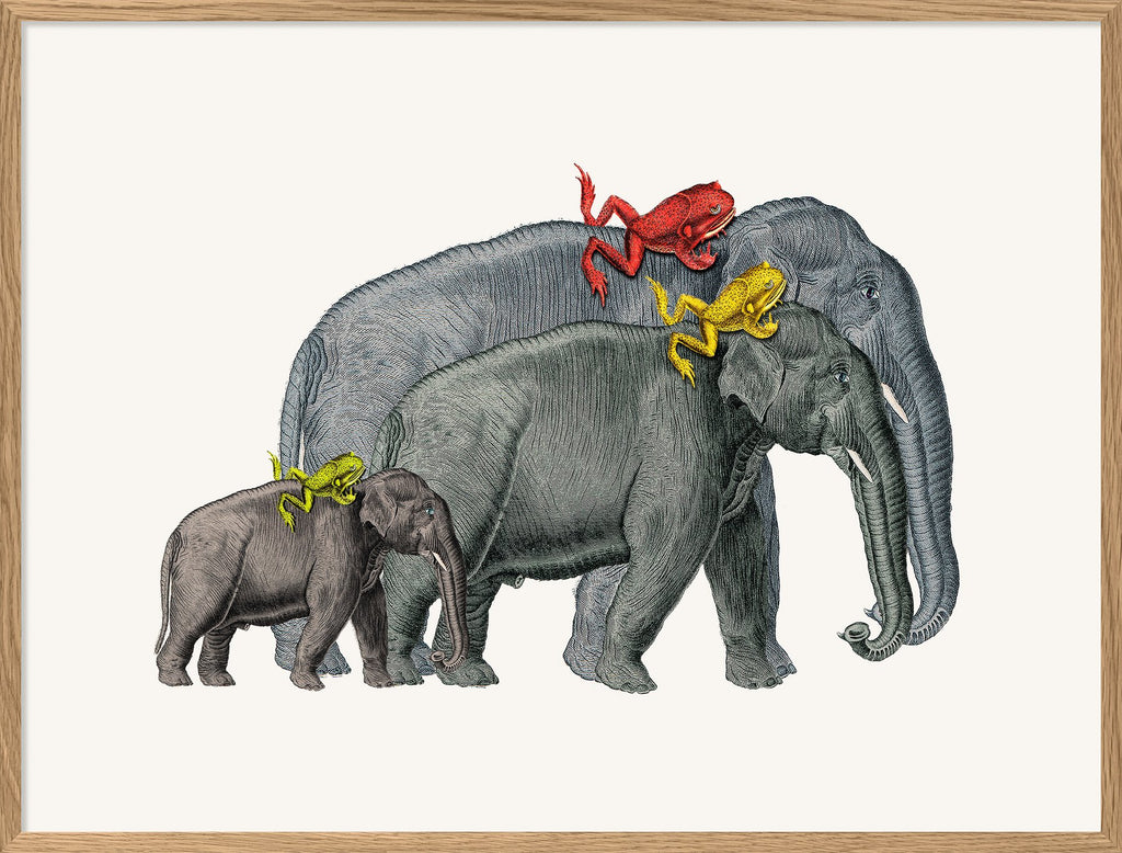 Affiche Elephants & Frogs 30x40 - The Dybdahl Co. - Coeur Grenadine