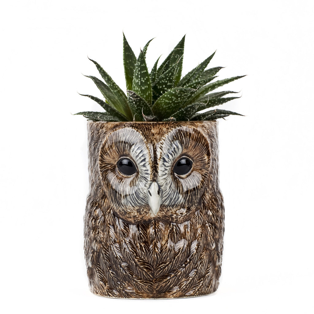 Tawny Owl pencil holder