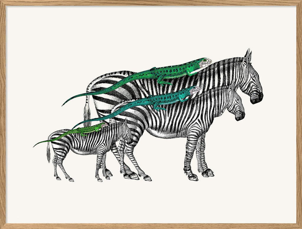 Affiche Zebras & Lizards 30x40 - The Dybdahl Co. - Coeur Grenadine
