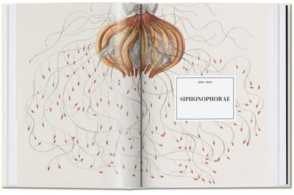 Ernst Haeckel 40th Anniversary Edition