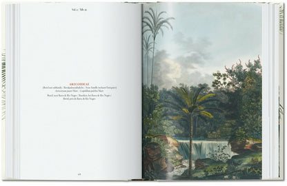 Martius. Le Livre des Palmiers. 40th Ed.